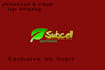 make simple logo designing
