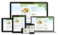 provide excellent services and web solutions