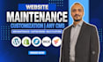 handle website maintenance and design customization for any cms