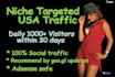 drive usa social,targeted website,traffic,visitors
