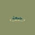 write and design your name in Arabic perfectly