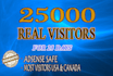 drive unlimited targeted usa website,traffic,visitors