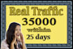 drive unlimited USA website traffic