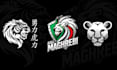 design or redesign lion, tiger, puma, wolf, pet logo