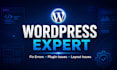 fix wordpress issues and errors with expert support