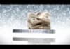 make a professional and luxurious slide show