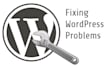 develop custom wordpress plugin and theme