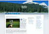 create a great looking custom theme for Wordpress, Joomla, or Drupal using Artisteer