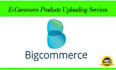 add 100 products to your bigcommerce site