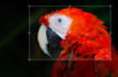 remove background, crop and rezise your picture in 24hour