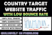 drive country target web traffic, real visitors
