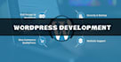 develop a modern responsive wordpress website