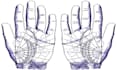 do a combined psychic palm reading for you within 24h
