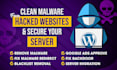 do clean malware and secure server with a guarantee