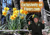 be your magical Leprechaun on video