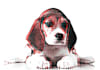 convert a 2D into a 3D image effect and include a dizzy image copy