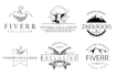 design a professional retro vintage logo