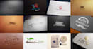 do a logo and text in 24h