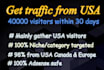 provide niche targeted real,website,traffic,visitors
