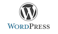 copy and paste inside the wordpress websites