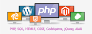 fix all web related programming issues