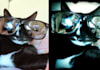 quickly and professionally edit your headshot