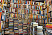download any document for you from scribd and slideshare