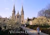 post 50 flyers at Villanova University