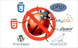 fix your wordpress, php, html, jquery, css, database bugs