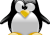 help with an Linux problem on your server or cloud account