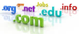 provide domain hosting to you