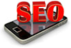 provide a professional SEO audit report and action plan to rank your website