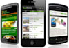create a mobile compatible version of your current website
