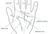 read your palm using Indian palmistry technique