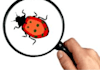 provide Quality testing services