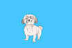 draw your dog as a cartoon