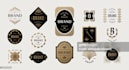 design high quality business logo with copyright protection