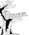draw black and white line art of your picture