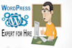 work for 1 hour related to wordpress or website