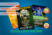 design a professional flyer in 24 hours