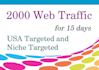 drive super targeted quality and safe website, traffic, visitors for 15 days