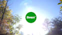 create beautiful sunny lens flare intro