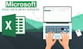 do any excel data entry job