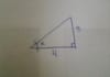 solve your Trig problem