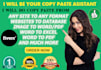 provide data entry and copy paste service for 1 hr pro level