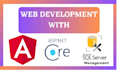 develop custom web app in angular or react
