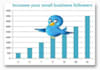 add more than 9555+ real and active twitter followers without need of password in just four hours after order