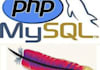 upload, install and configure your php script on your server