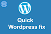 fix wordpress issues, errors, problems in 24 hours