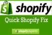 edit, fix or customize shopify website shopify store